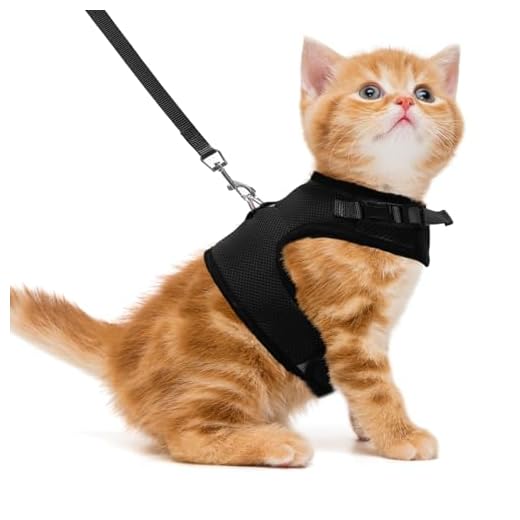 PUPTECK Checkered Frills Soft Mesh Dog Vest Harness Puppy Padded Pet Harnesses for Cat Small Dogs