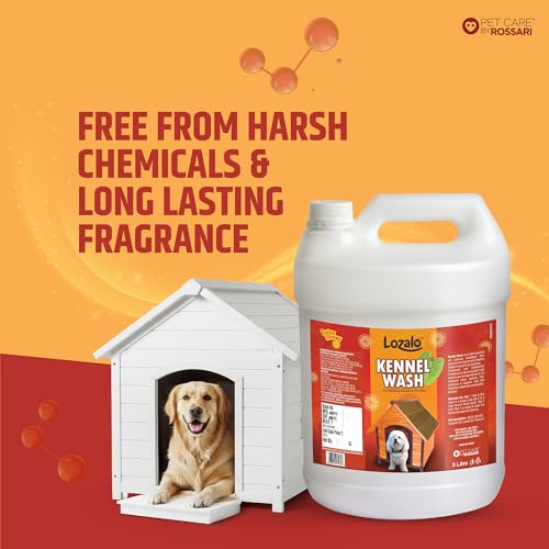 Image of Lozalo Kennel Wash Liquid 5 Litre for Washing Dog Kennel & Flooring, Pet Shops, Veterinary Clinics & Grooming Salons (Red)