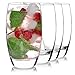 Luigi Bormioli Crescendo 20-Ounce Tumblers, Set of 4