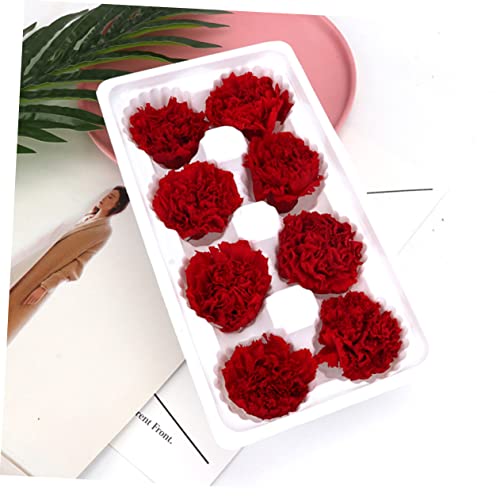 ABOOFAN 2pcs Flor Eterna Clavel Roja Secas miniatura 3