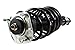 Auto Shack CST1004048PR Front Complete Strut Spring Assembly Pair