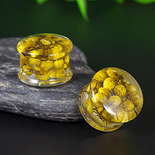 COOEAR 2 Pairs Ear Gauges Piercing Saddle Plugs, Double Flared Flesh Tunnels, Acrylic Flower Logo Earrings Elegant Stretchers.