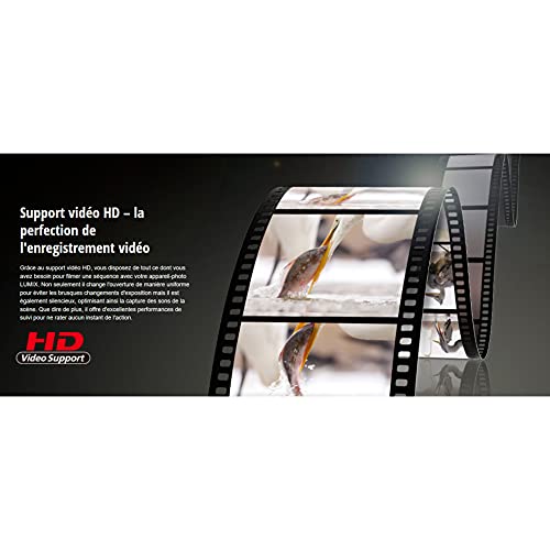 Panasonic H-F008E LUMIX G Fisheye 8 mm Objektiv