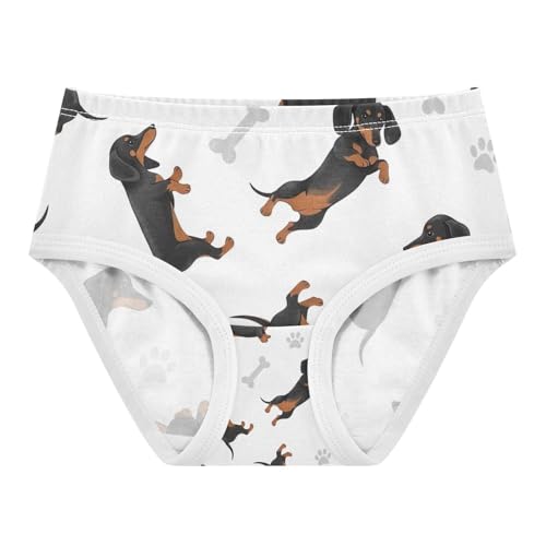 Cute Dachshund Dogs White Toddler Girl Underwear, Panties for Girls, 2T–8 Years