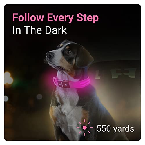 Tractive Gps Pet Tracker With Led Light Up Dog Collar - Waterproof, Gps Location & Smart Activity Tracker, Unlimited Range (Pink, Large) #TOP4