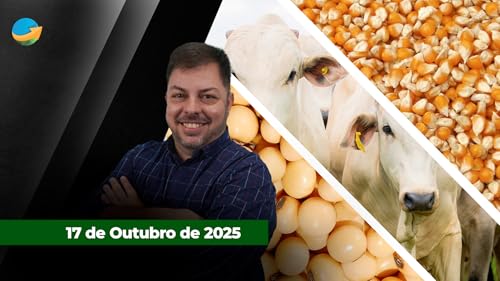 Sexta-feira encerra com alta na cotação do boi China em SP; dia positivo também para soja e milho em Chicago Podcast Por capa
