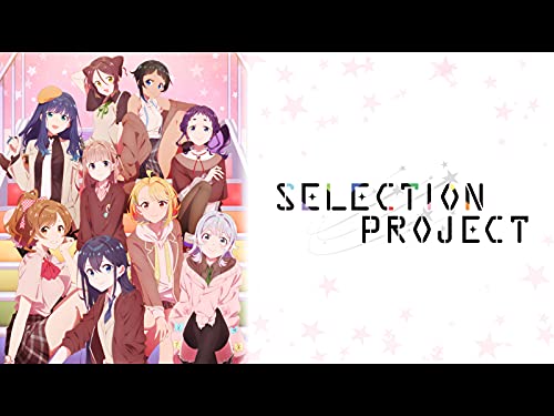 SELECTION PROJECT