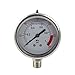 YZM Stainless Steel 304 Single Scale Liquid Filled Pressure Gauge with Brass Internals, 2-1/2" Dial Display, -1.5% Accuracy, 1/4" NPT Bottom Mount,Water Pressure Gauge. (0-150 psi)