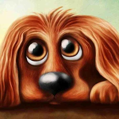 Kids Sleep Meditation PARKER PAWS THE SLEEPY PUPPY Children_s Meditation Bedtime Story