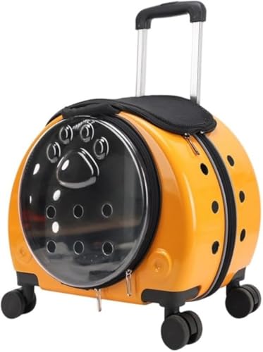 Farigrut LX^[tybgg[gALpg[gAApg[gAybgL[AobNpbNA^A^AobOJ[gAyʁAʋCALX^[tpL[obOA@\AoobOAԁAhCuALvAsA (ubN)