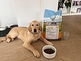Bellfor Landgut-Schmaus Junior – Getreidefreies Trockenfutter für Welpen – 2,5 kg – Mit Insektenprotein, Hypoallergen & Besonders Verträglich für Junghunde