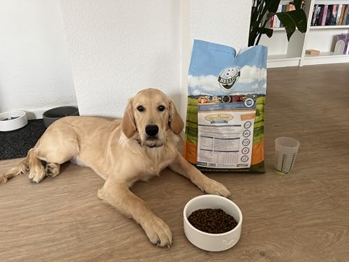 Bellfor Landgut-Schmaus Junior – Getreidefreies Trockenfutter für Welpen – 2,5 kg – Mit Insektenprotein, Hypoallergen & Besonders Verträglich für Junghunde