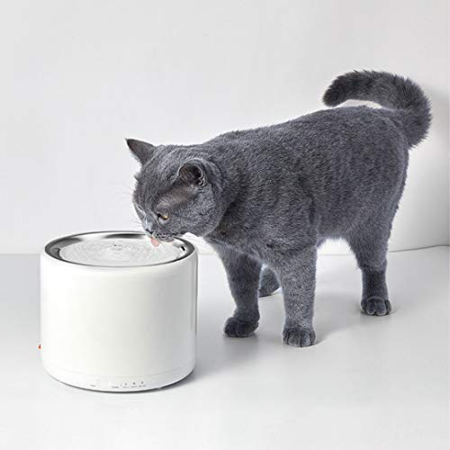 petkit smart drinking fountain