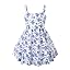 Blue and White 02