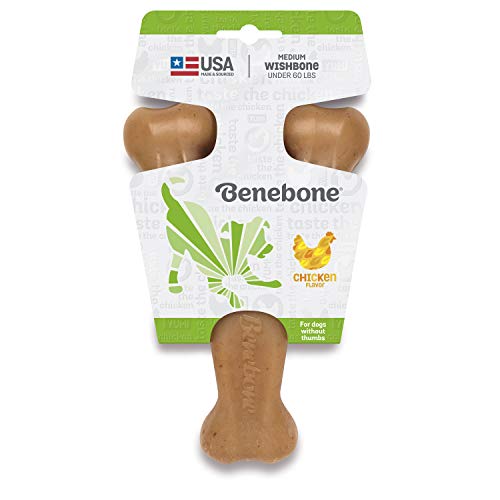 Brinquedo Para Cachorro Benebone Wishbone Frango Médio