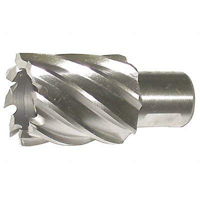 Annular Cutter, M42, 1 Dia, 1 D
