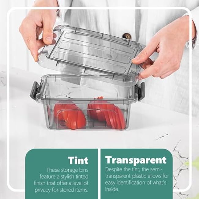 Tribello Small Storage Container Bin With Lids, 1.25Q Mini Plastic Storage Container With Latching Lids For Organizing - Tinted - (8¡¯' x 6¡± x 3¡±) 1.25 Quart - Set of 6 - Made in EU