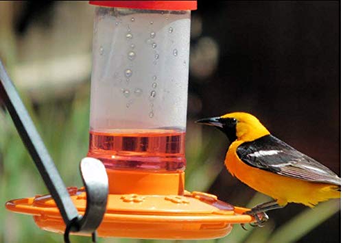 First Nature 3088 32-ounce Oriole Feeder (2 Pack) by FIRST NATURE - Image 2