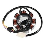 Austauschbare zündspule: die zündspule ist ein hochleistungszubehör für atv, quad und mehr, spulenzündungsstarter