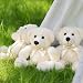 Imagen de Yeqivo Ositos De Peluche Animal De Peluche Juguetes Regalo para Niño Novia 13
