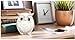 QIAOIDEA Rustic Carved Owl Figurine - Chubby Owl Decor for Home and Office - Shelf, Desktop, Cabinet, Fireplace Mantel