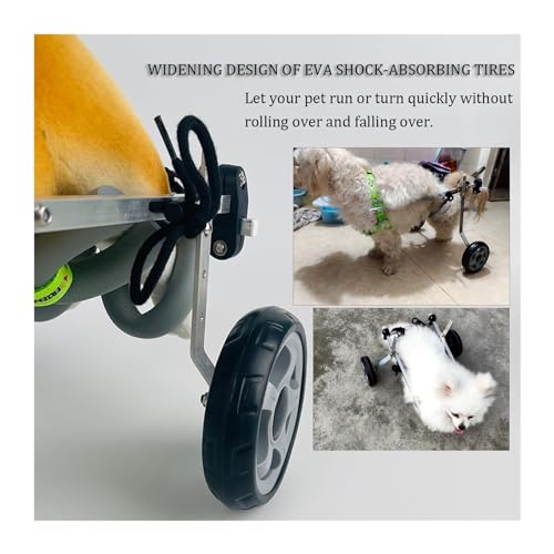Silla de ruedas para perros con discapacidad, recupera la alegría de pasear 8