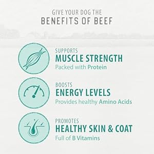 Caledon Farms Chewy Beef Sticks Dog Treats: 220G/7.8OZ Caledon Farms Chewy Beef Sticks Dog Treats 220G78OZ