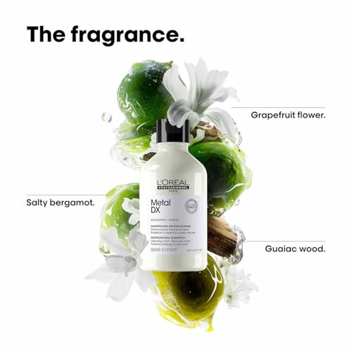 L'Oréal Professionnel Shampooing pour cheveux colorés et abîmés, couleurs durables et brillantes, série Expert, Metal DX Shampooing 300 ml
