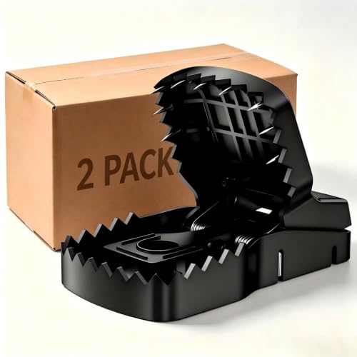 2-Pack Extra Large Squirrel Huge...