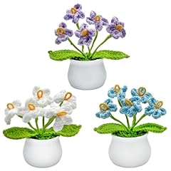 White & Purple & Blue Forget-me-nots