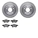 Dynamic Friction Company Rear Brake Rotors with 5000 Advanced Brake Pads 6502-80199
