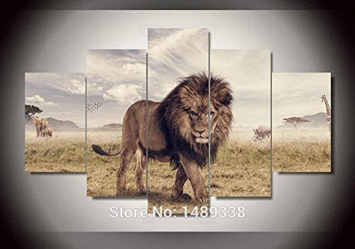 Impression sur toile Lion 5 pièces image sur verre pour grand mur