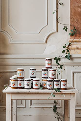 D'arbo All Natural Fruit Spread, Rose Apricot, 16 Oz (Pack Of 2) #TOP3