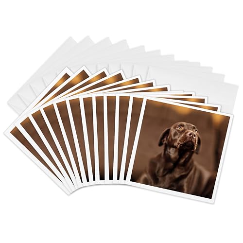 Cartes vœux labrador retriever 3dRose pour célébrer notre amour canin