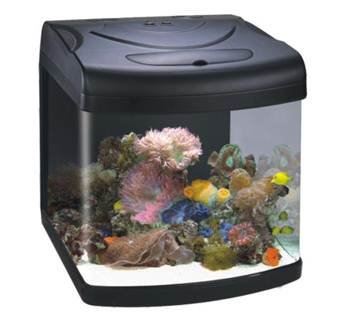 boyu imported fish tank