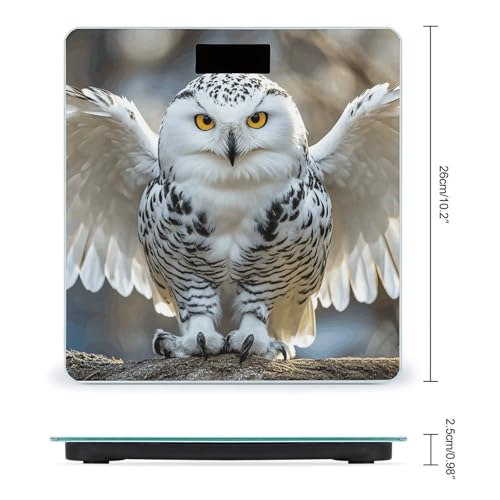 Báscula digital para baño Snow Owl con pantalla LCD miniatura 2