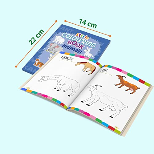 Little Colouring Books for Kids (Set of 10 Books) - Gift to children for painting, drawing and colouring - Alphabets, Animals, Birds, Flags, Flowers, ... Transport, Vegetables - 3 to 6 years old
