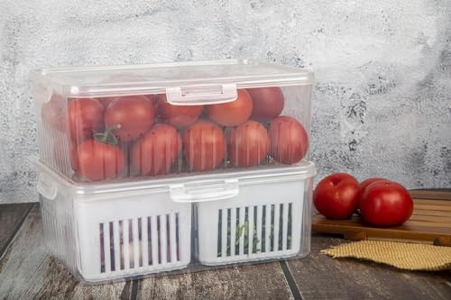 Image of VOLCANO Pack of 1 | 4 Grid Fridge Storage Containers - Fridge Organiser Storage Boxes- Kitchen Accessories Items for Home-Freezer & Refrigerator Organizer vegetable storage box