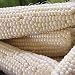 Seed Needs Package of 180 Seeds, Silver Queen Sweet Corn (Zea mays) Non-GMO Seeds