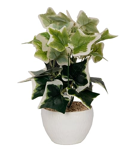 Image of Foliyaj Artificial Ivy Plant with White Pot | Indoor Plants for Home Decor | Living Room Decor | 28 cm Height | Decoration for Home and Office