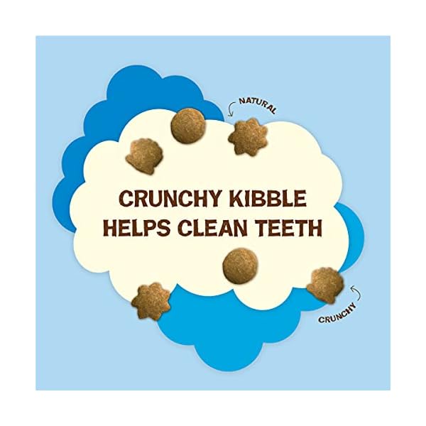 Purina Friskies Natural Cat Treats, Party Mix Natural Yums With Wild