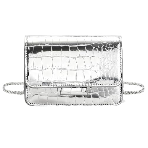 AWNALEEO Metallic Evening Mini Silver Purse Crossbody Bags for Women