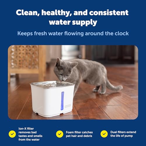 Fontaine à eau chat PetSafe Viva dans votre salon pour le bien-être de votre petit chien - 7