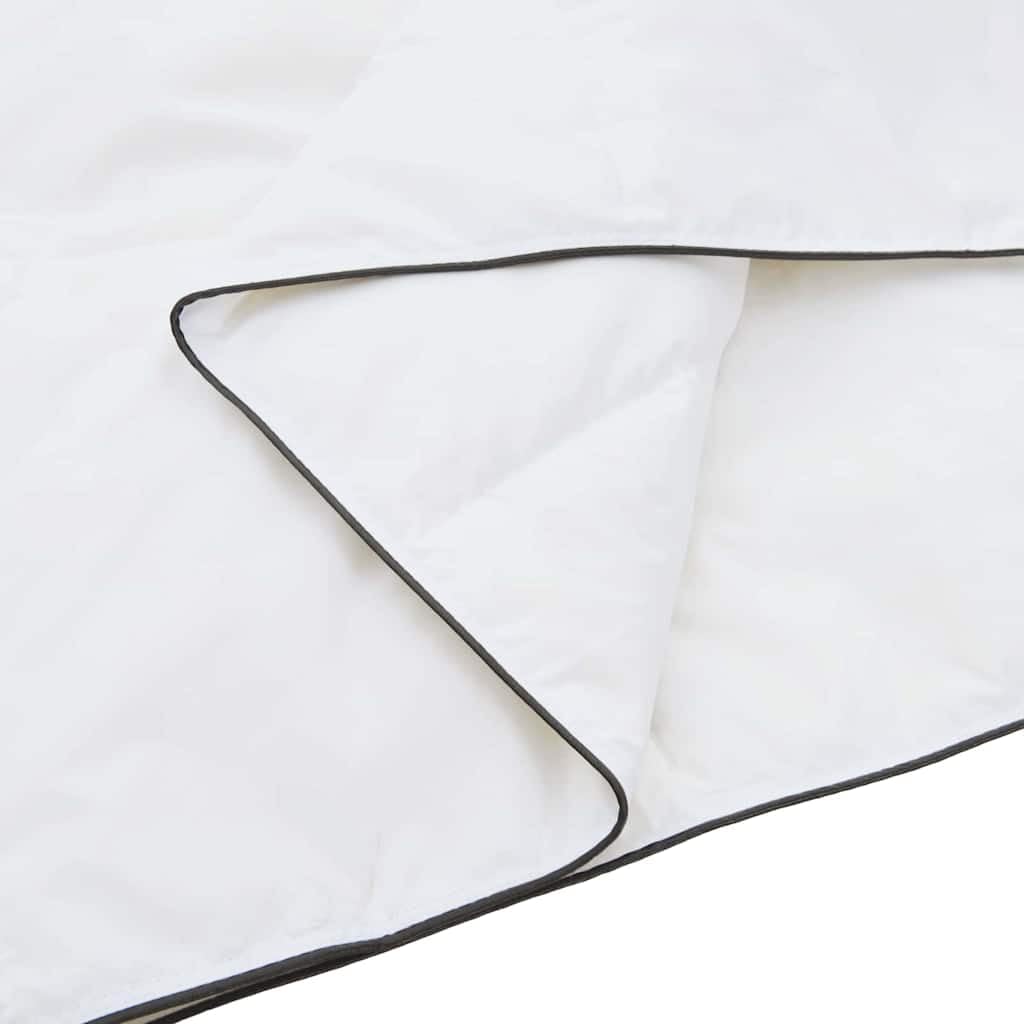 Generico Duvet Invernale Bianco 260 x 220 cm Piuma,Biancheria,Lenzuola e Coperte,Trapunte e piumini-42007625