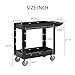 GPM&T AQUA BOSS Two-Shelf Utility Cart with Wheels,550 lbs.Capacity, Rolling Utility & Tool Carts for Warehouses, Industrial Settings, Auto Garages, for Indoor and Outdoor, More,with Locking Wheels