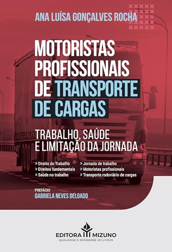 Motoristas profissionais de transporte de cargas: