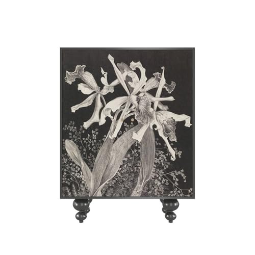 V[Yx` _Ȏ[Ƌ 5iV[YLrlbg ^ؐV[YbN փz[