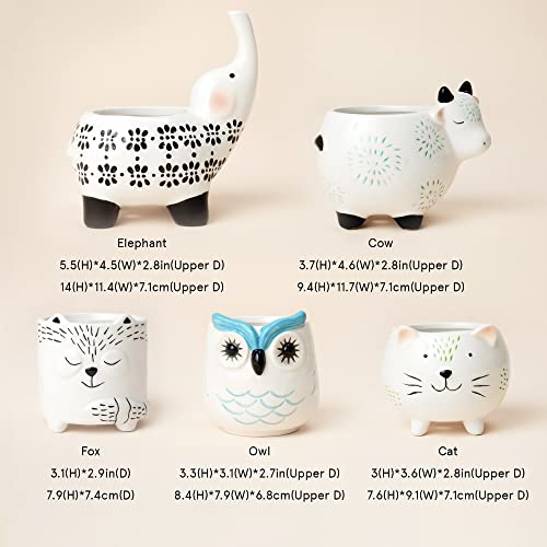 La Jolie Muse Small Succulent Pots With Drainage, Ceramic Animal Planter, Indoor Plant Pots, Cute Cactus Small Flower Pots For Home Decor Gifts For Mom And Office Desk Decoration, Set Of 5 Pieces #TOP5