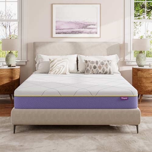 Vesgantti Matratze 160x200 cm H3 Kaltschaummatratze, 25 cm Höhe, ÖkoTex Zertifiziert, Mittelfest Rollmatratze, Waschbarer Abnehmbarer Stoffbezug Matratzen mit Reißverschluss, Lavendel Violett Vesgantti Matratze 160x200 cm H3 Kaltschaummatratze, 25 cm Höhe, ÖkoTex Zertifiziert, Mittelfest Rollmatratze, Waschbarer Abnehmbarer Stoffbezug Matratzen mit Reißverschluss, Lavendel Violett