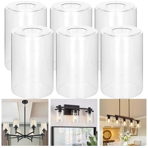 GO&SO 6 Pack Clear Glass Lamp Shade Replacement, 5.5